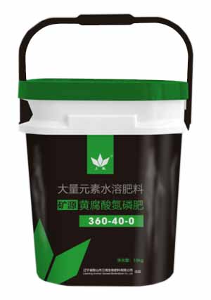 枝繁叶茂